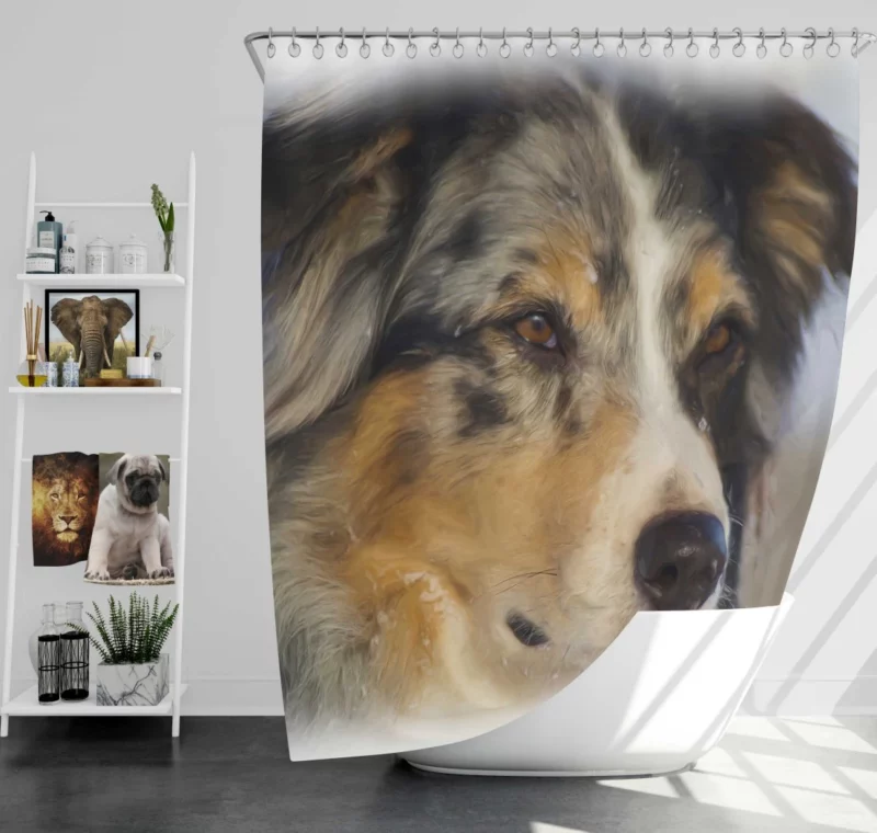 Australian Shepherd in Oil Furry Artistry Shower Curtain