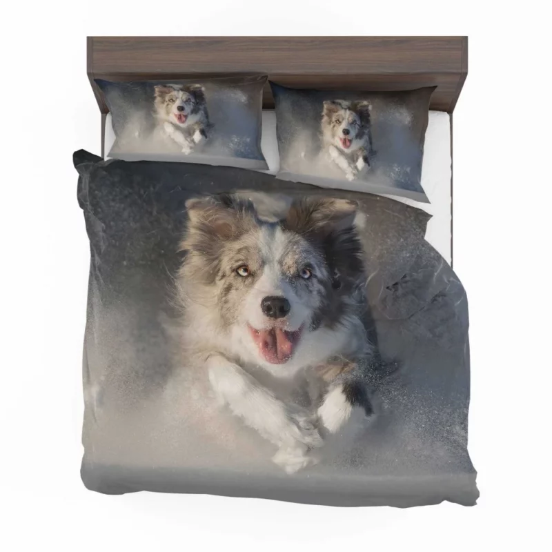 Australian Shepherd in Snowy Serenity Bedding Set 1