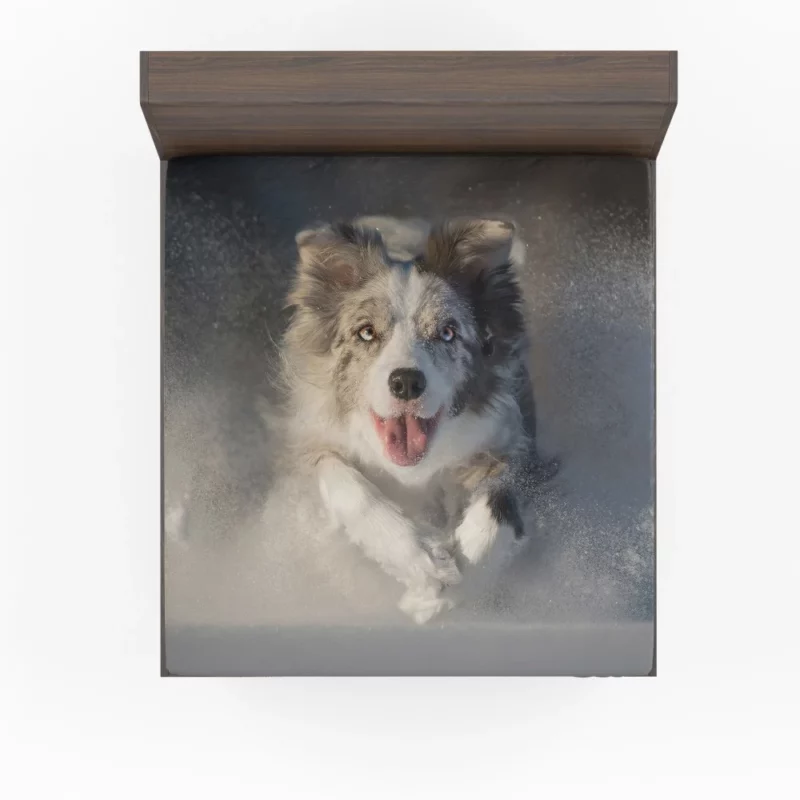 Australian Shepherd in Snowy Serenity Fitted Sheet 1