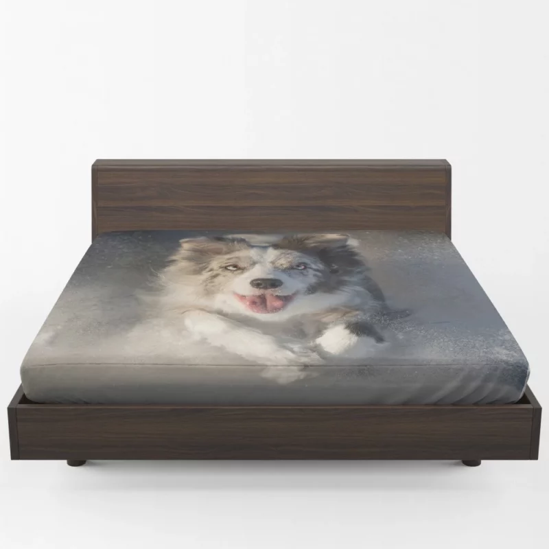 Australian Shepherd in Snowy Serenity Fitted Sheet