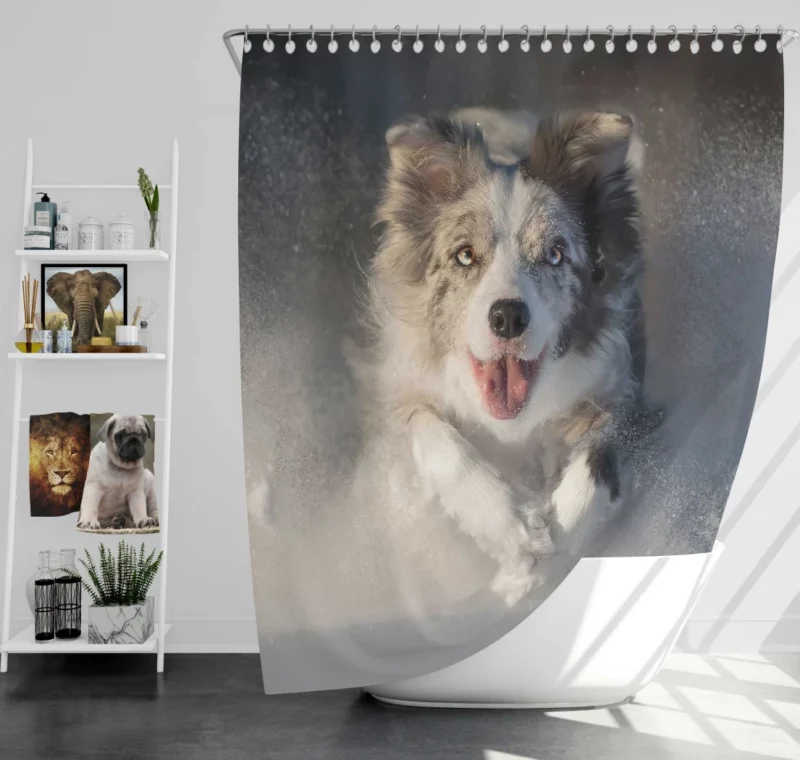 Australian Shepherd in Snowy Serenity Shower Curtain