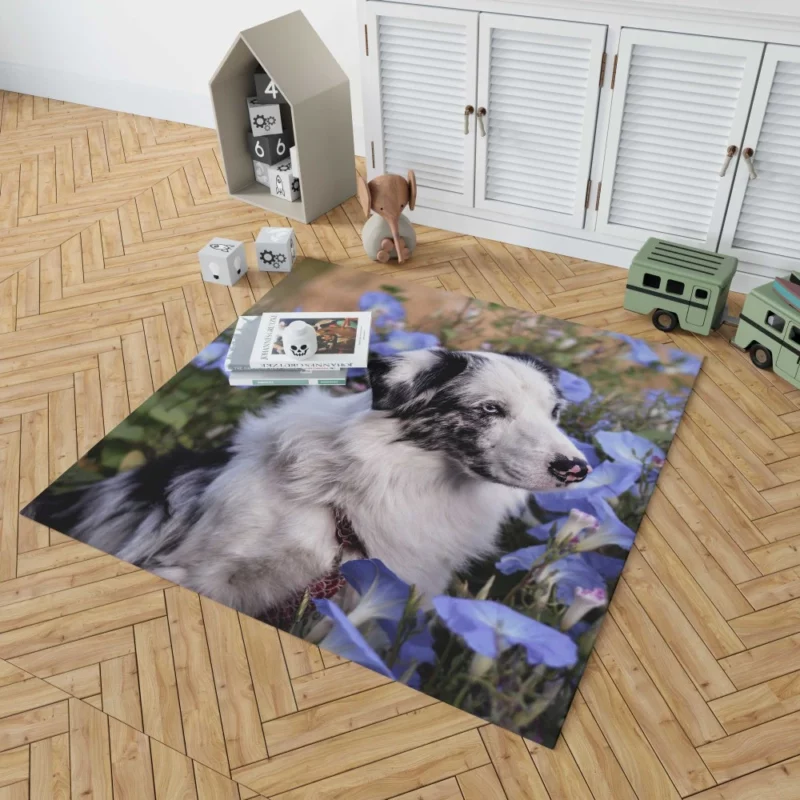 Australian Shepherd with Nature Bloom Rug 1