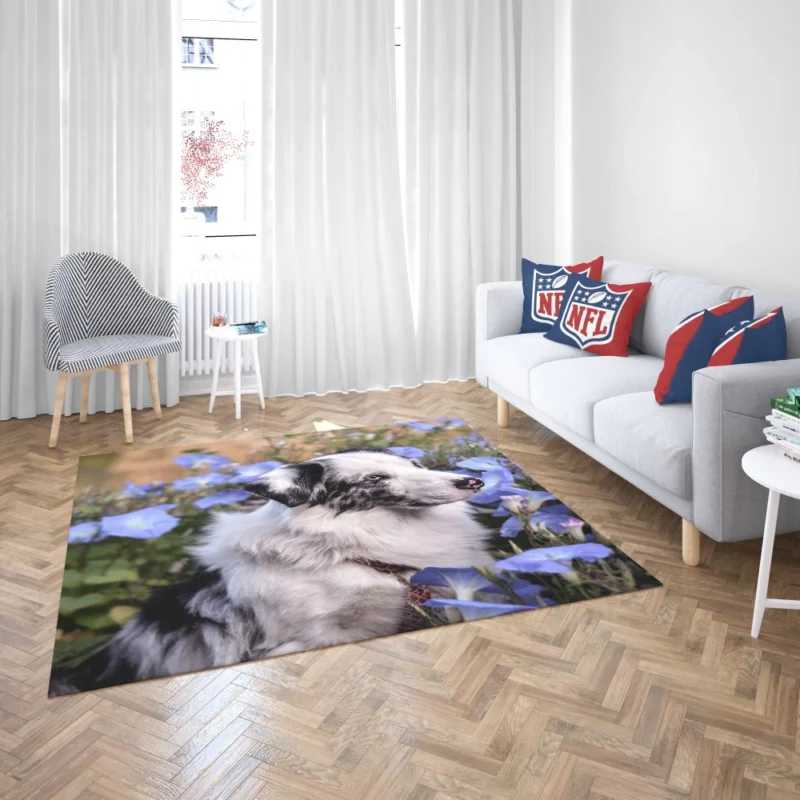 Australian Shepherd with Nature Bloom Rug 2