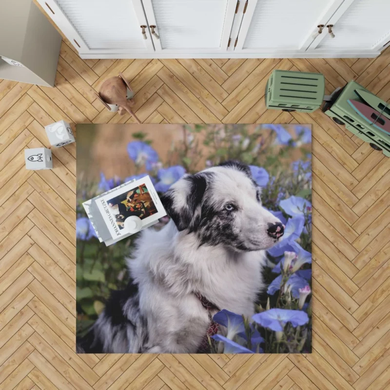 Australian Shepherd with Nature Bloom Rug