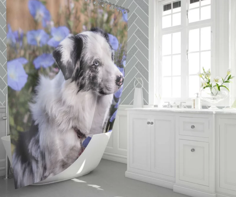 Australian Shepherd with Nature Bloom Shower Curtain 1