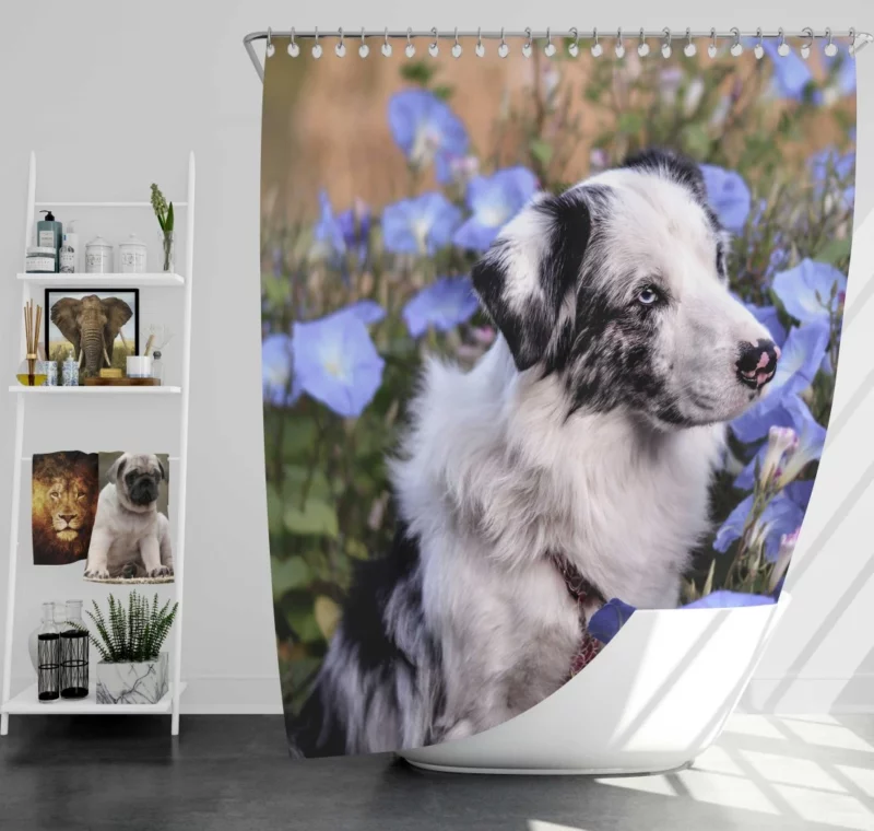 Australian Shepherd with Nature Bloom Shower Curtain