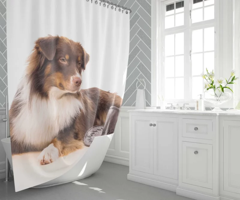 Australian Shepherd with Whimsical Hat Shower Curtain 1