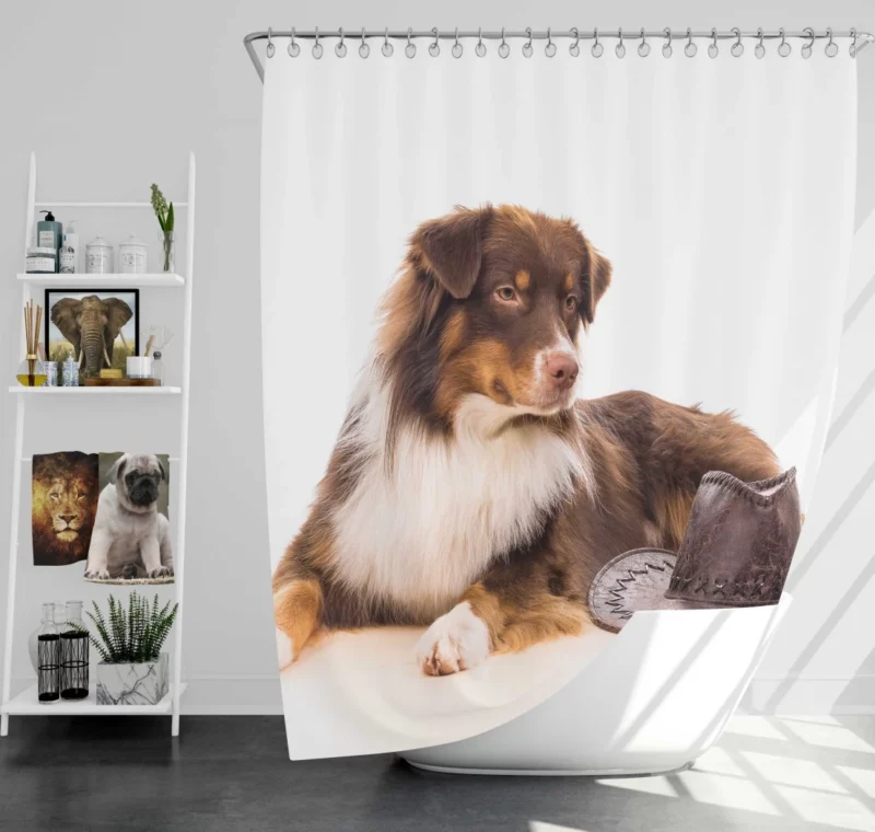 Australian Shepherd with Whimsical Hat Shower Curtain