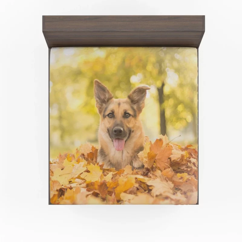 Autumn German Shepherd Fitted Sheet 1