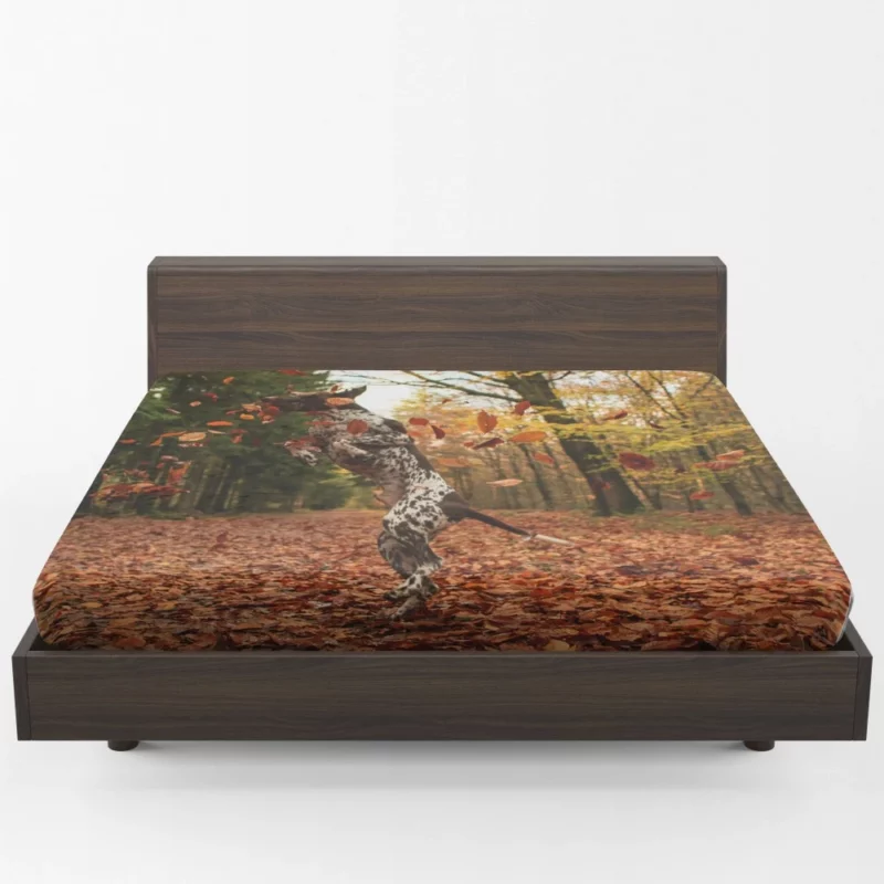 Autumn Leap of German Shorthaired Pointer Fitted Sheet