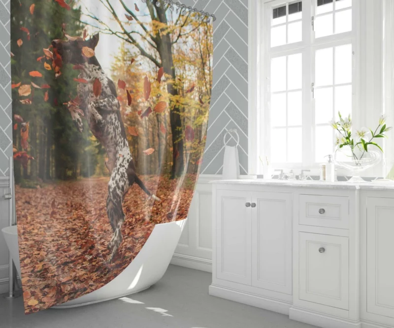 Autumn Leap of German Shorthaired Pointer Shower Curtain 1