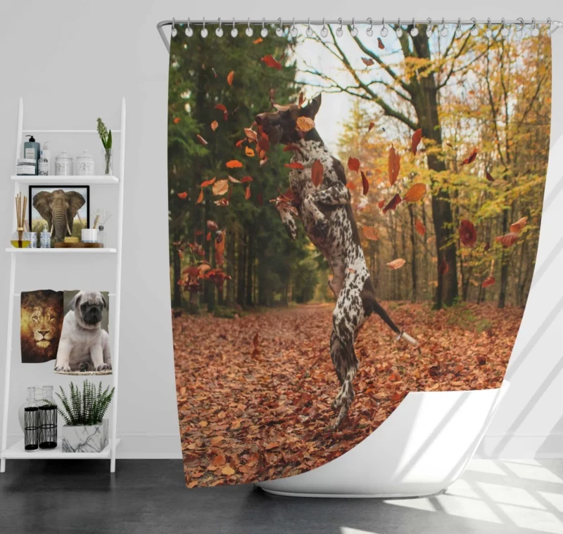 Autumn Leap of German Shorthaired Pointer Shower Curtain