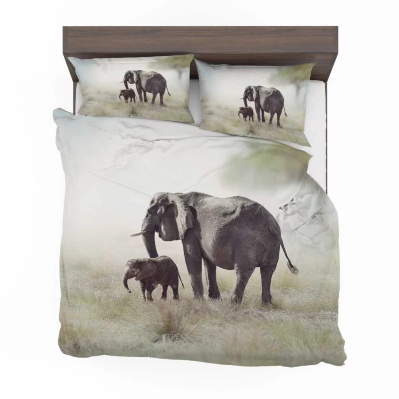 Baby African Elephant Wild Innocence Bedding Set 1