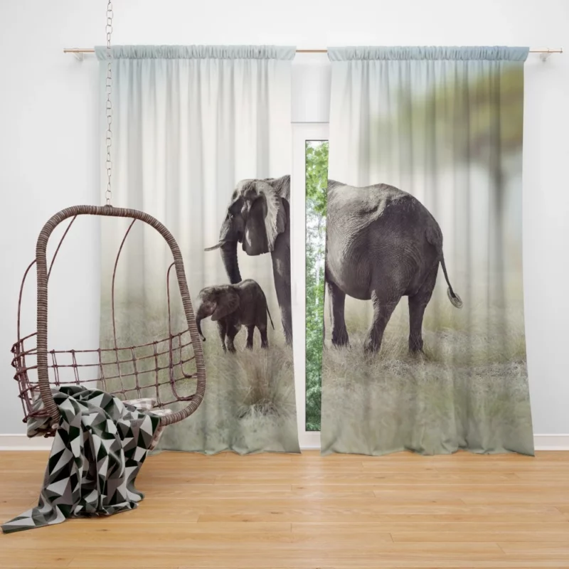 Baby African Elephant Wild Innocence Curtain