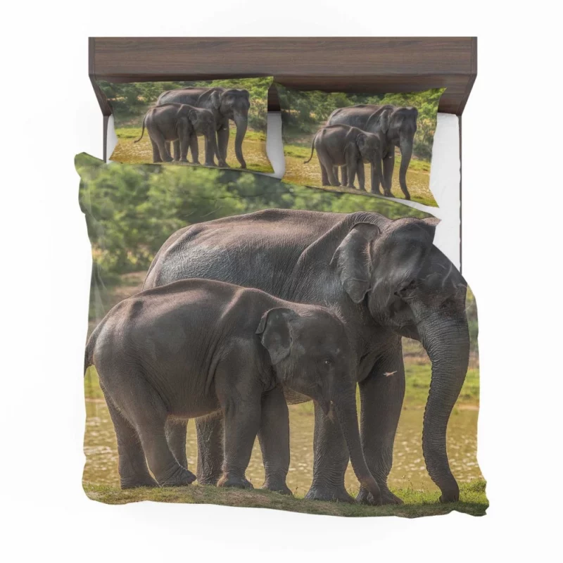 Baby Asian Elephant Bedding Set 1