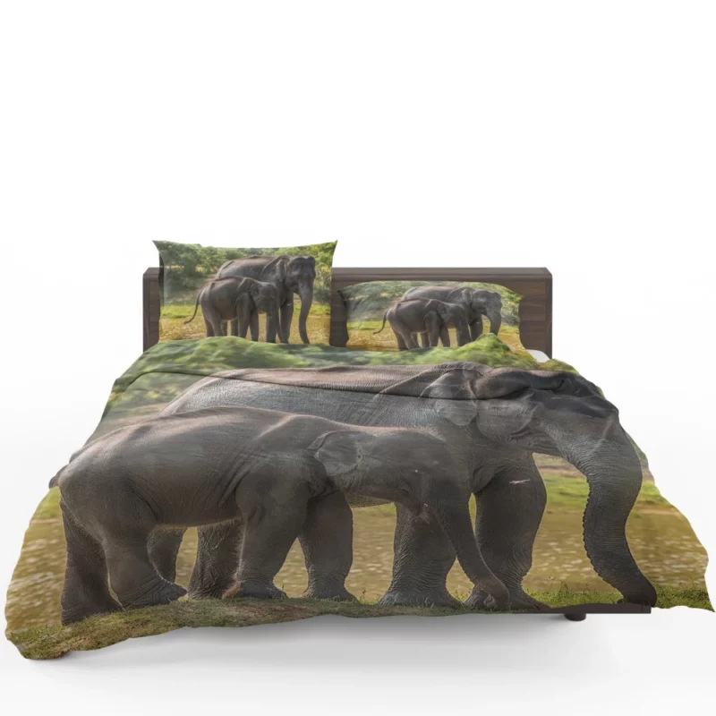 Baby Asian Elephant Bedding Set