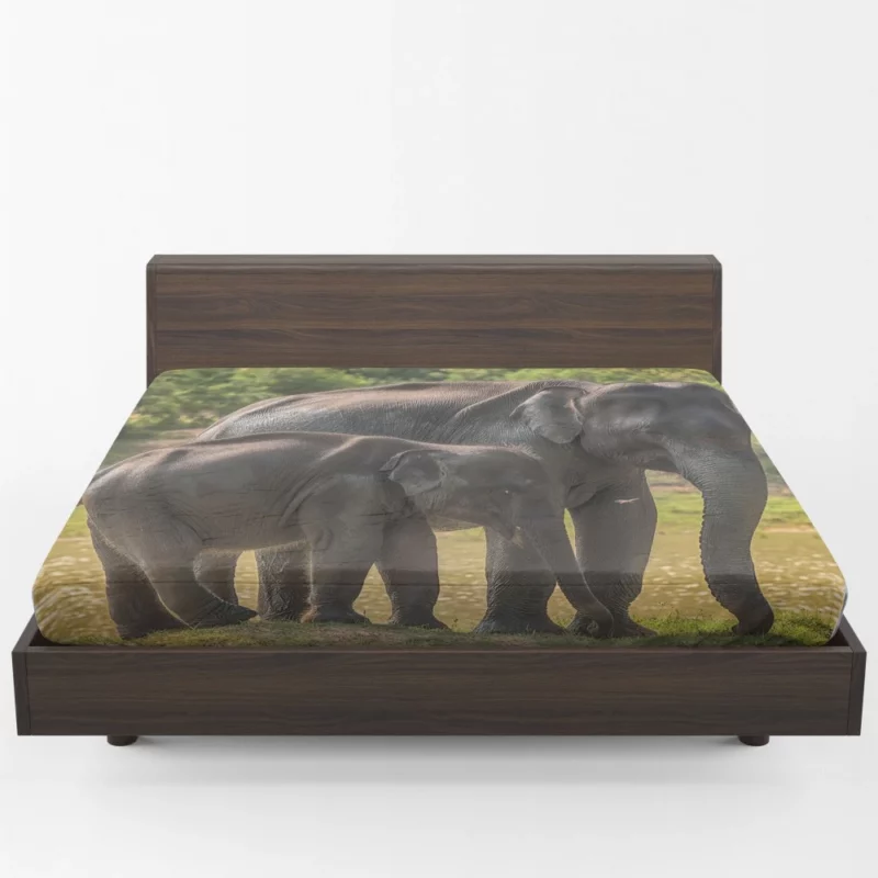 Baby Asian Elephant Fitted Sheet