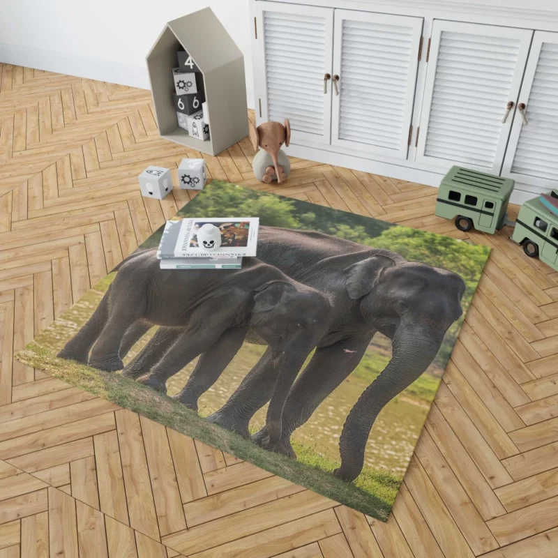 Baby Asian Elephant Rug 1