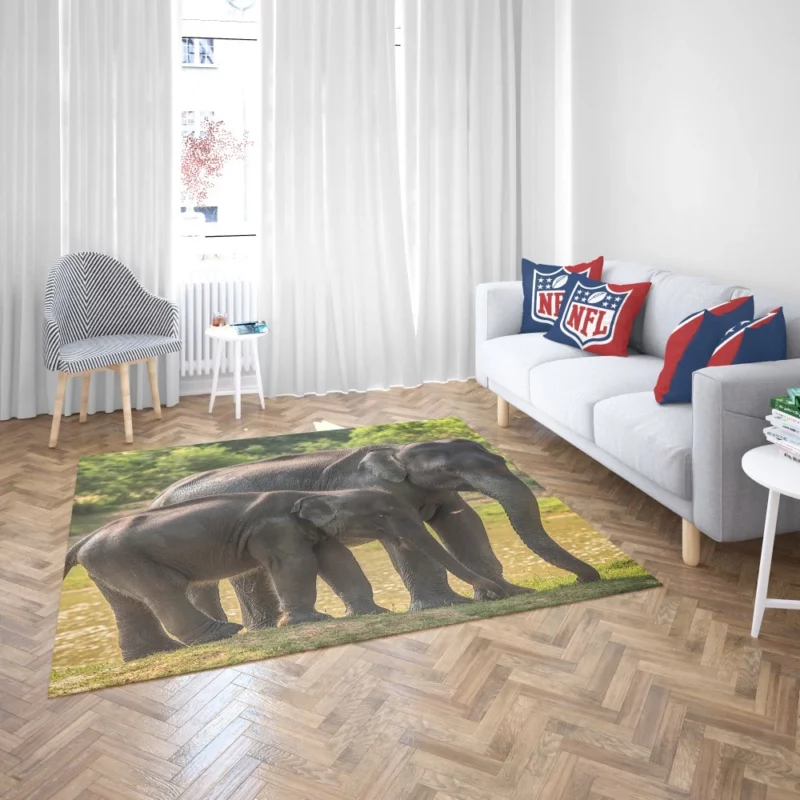 Baby Asian Elephant Rug 2