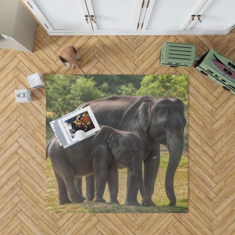 Baby Asian Elephant Rug