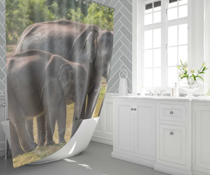 Baby Asian Elephant Shower Curtain 1