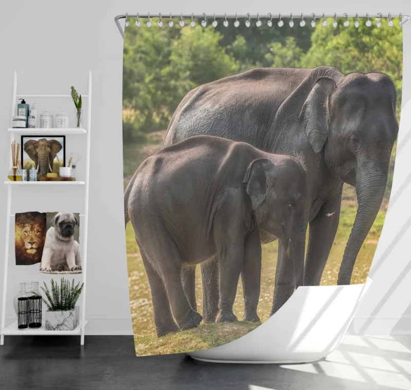 Baby Asian Elephant Shower Curtain