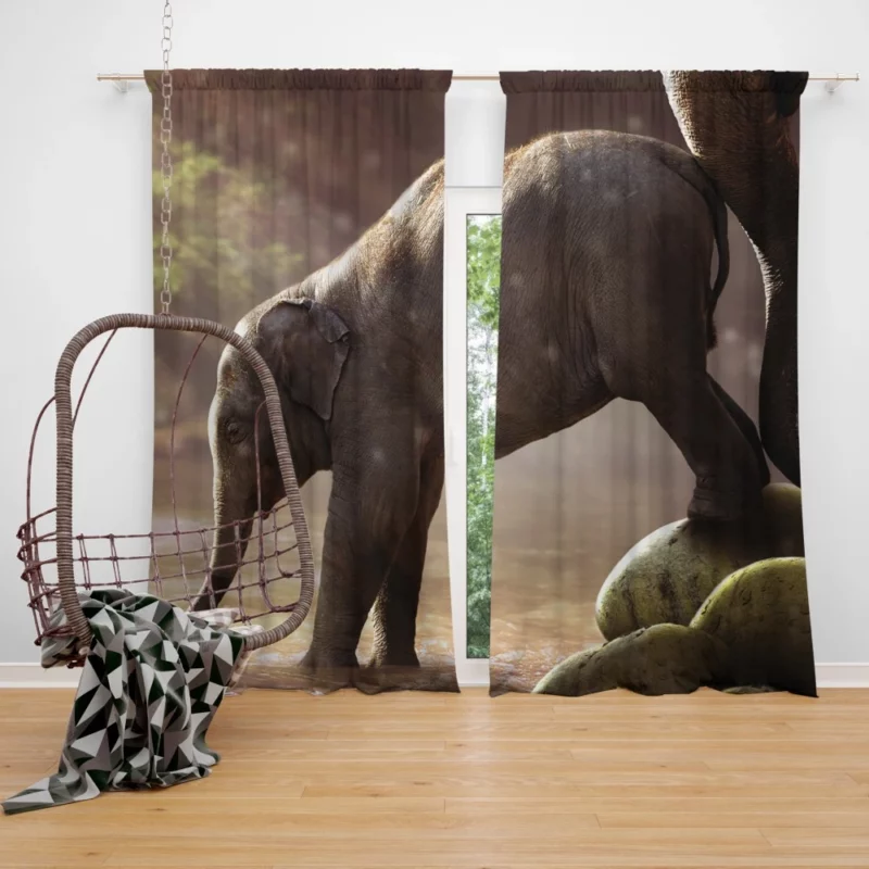 Baby Elephant Adorable Innocence Curtain