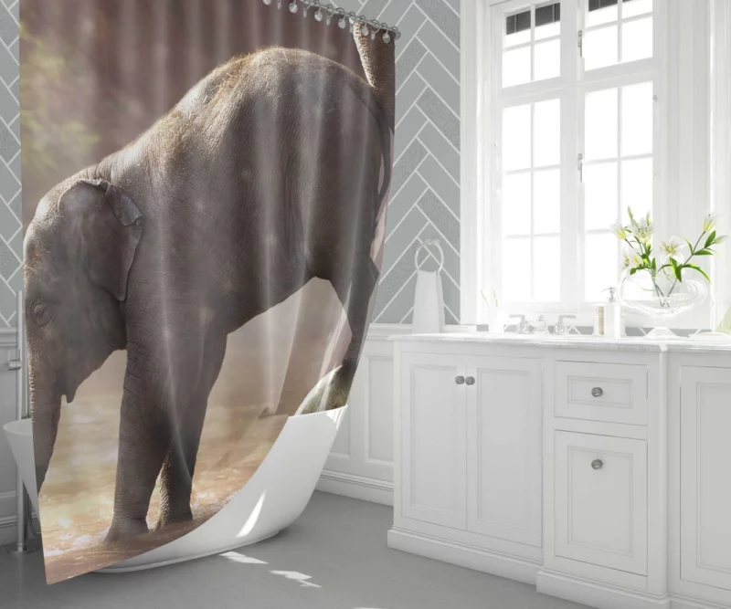 Baby Elephant Adorable Innocence Shower Curtain 1