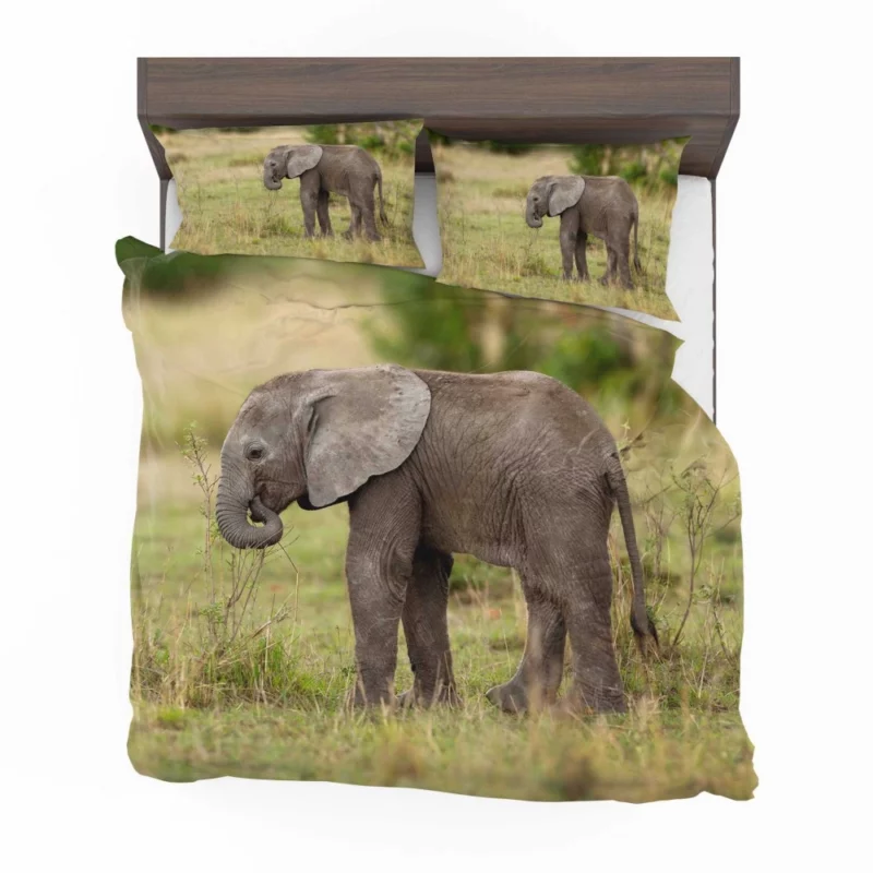 Baby Elephant Enigmatic Innocence Bedding Set 1