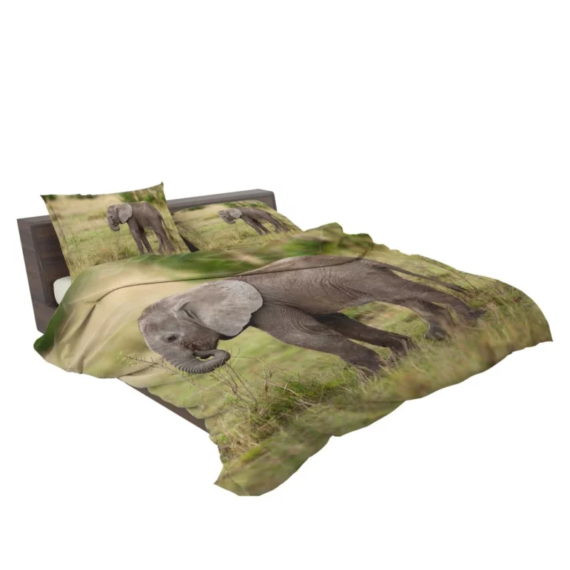 Baby Elephant Enigmatic Innocence Bedding Set 2