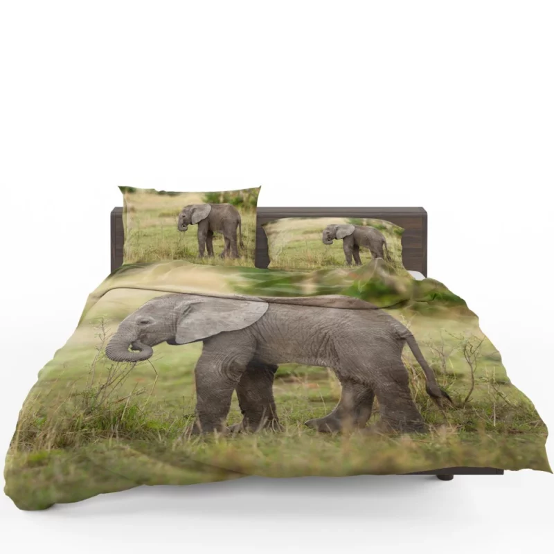 Baby Elephant Enigmatic Innocence Bedding Set