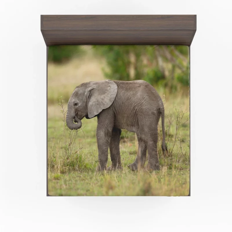 Baby Elephant Enigmatic Innocence Fitted Sheet 1