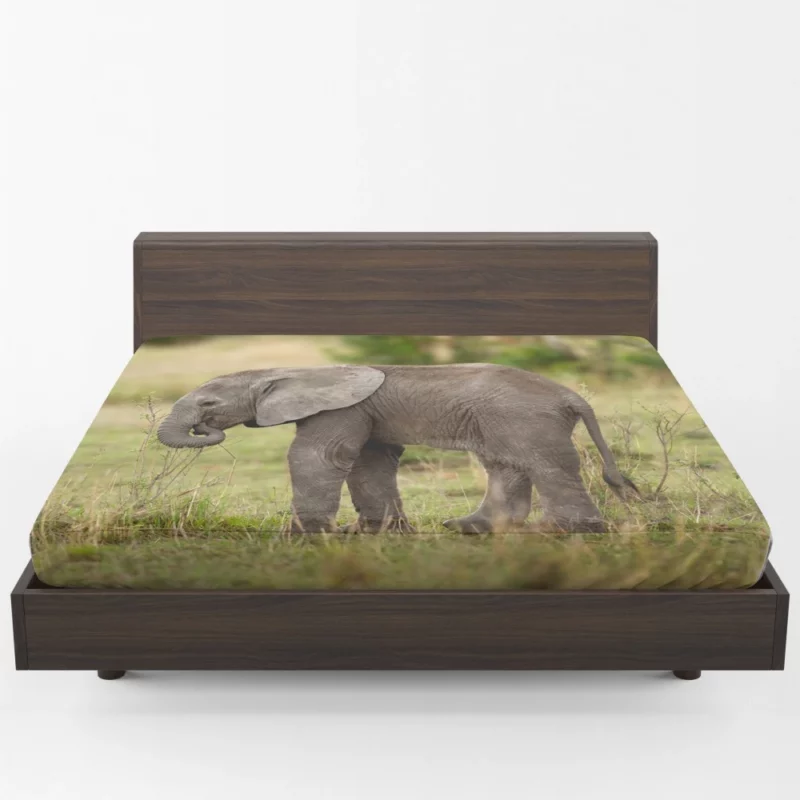 Baby Elephant Enigmatic Innocence Fitted Sheet