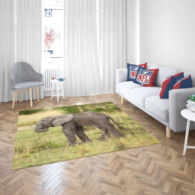 Baby Elephant Enigmatic Innocence Rug 2