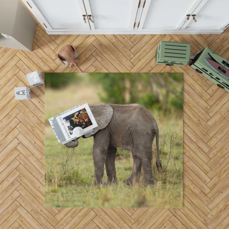 Baby Elephant Enigmatic Innocence Rug