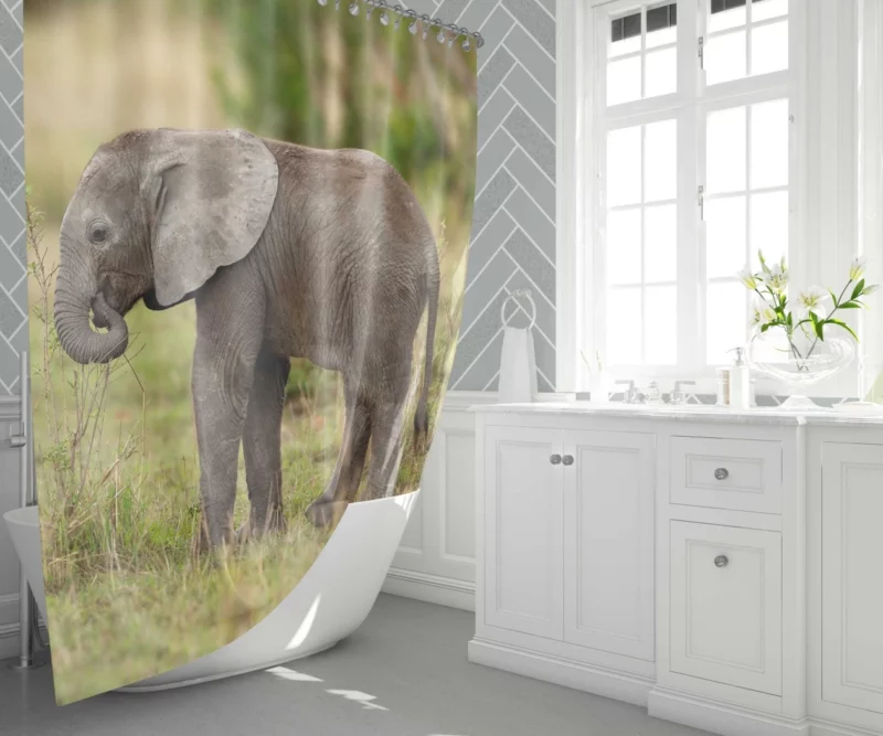 Baby Elephant Enigmatic Innocence Shower Curtain 1