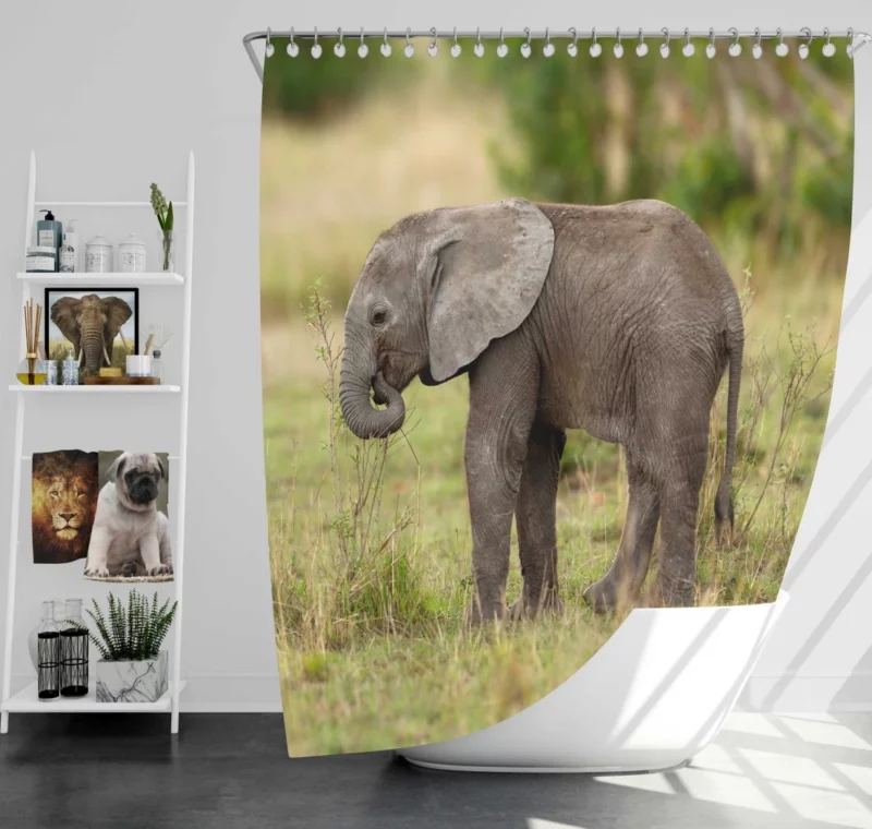 Baby Elephant Enigmatic Innocence Shower Curtain