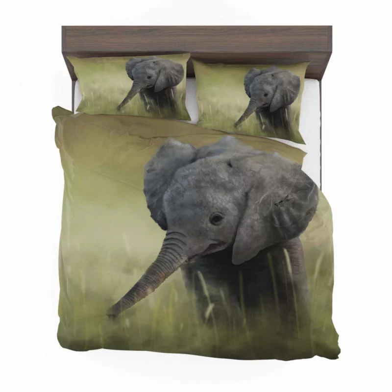 Baby Elephant Majestic Wonder Bedding Set 1