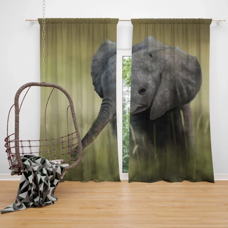 Baby Elephant Majestic Wonder Curtain