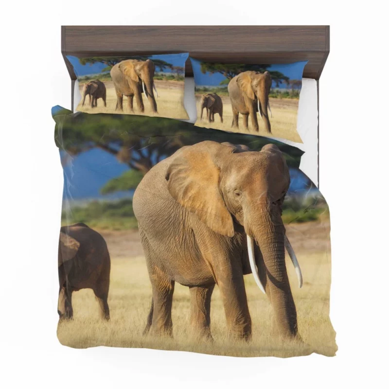 Baby Elephant Savannah Wonder Bedding Set 1