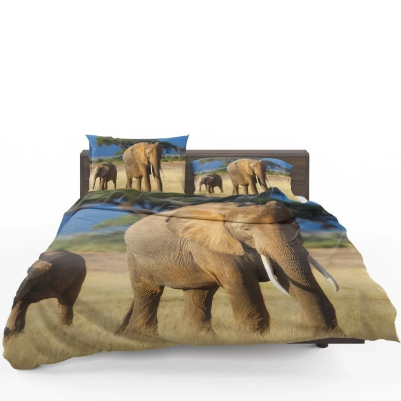 Baby Elephant Savannah Wonder Bedding Set