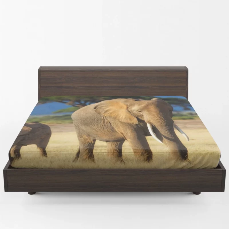 Baby Elephant Savannah Wonder Fitted Sheet