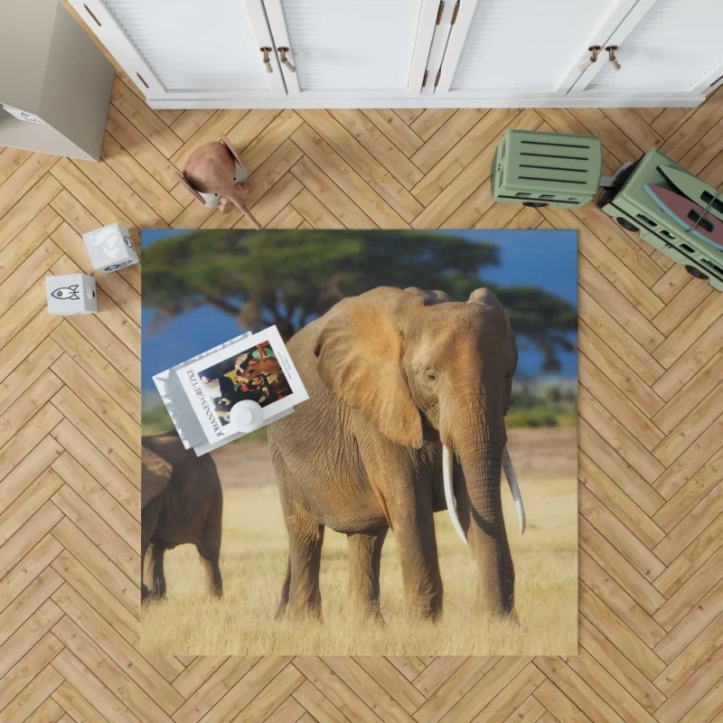 Baby Elephant Savannah Wonder Rug