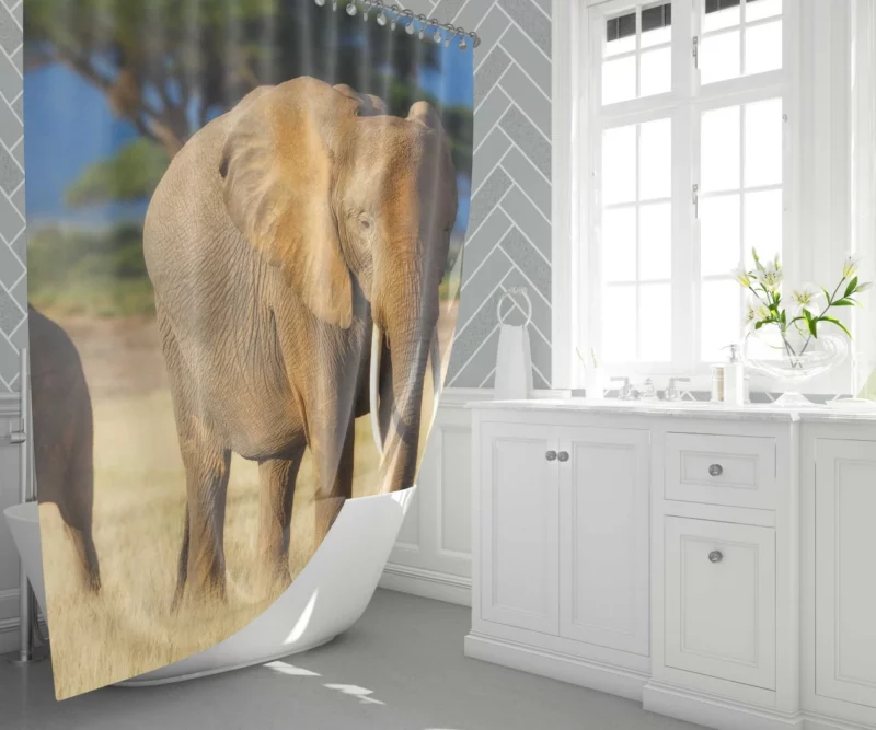 Baby Elephant Savannah Wonder Shower Curtain 1