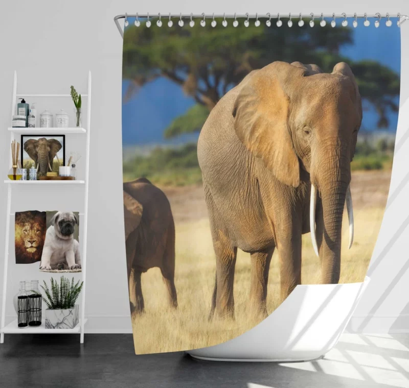 Baby Elephant Savannah Wonder Shower Curtain