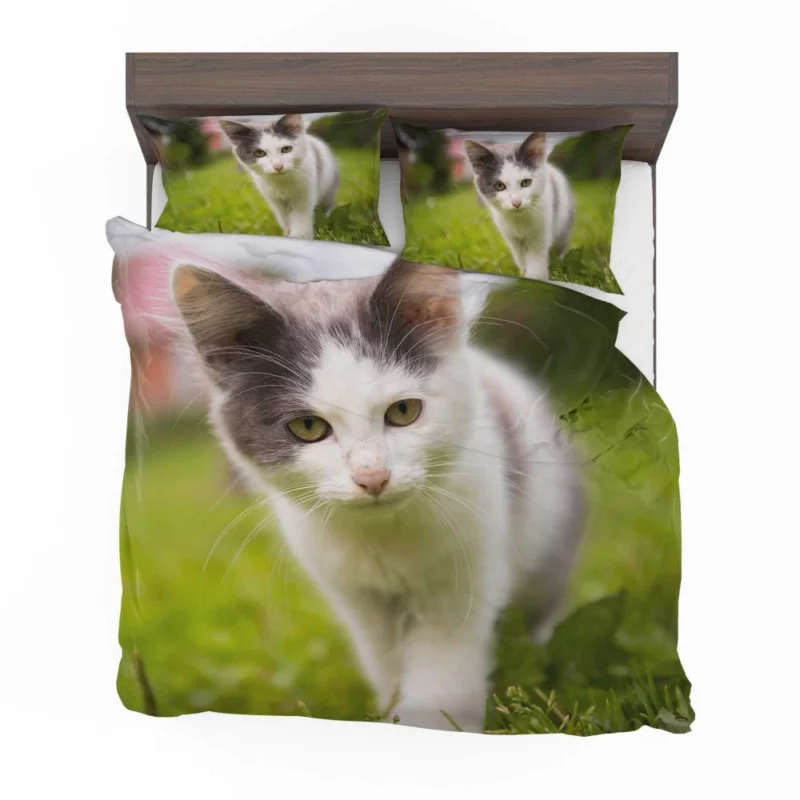 Baby Kitten Enigmatic Depth Bedding Set 1