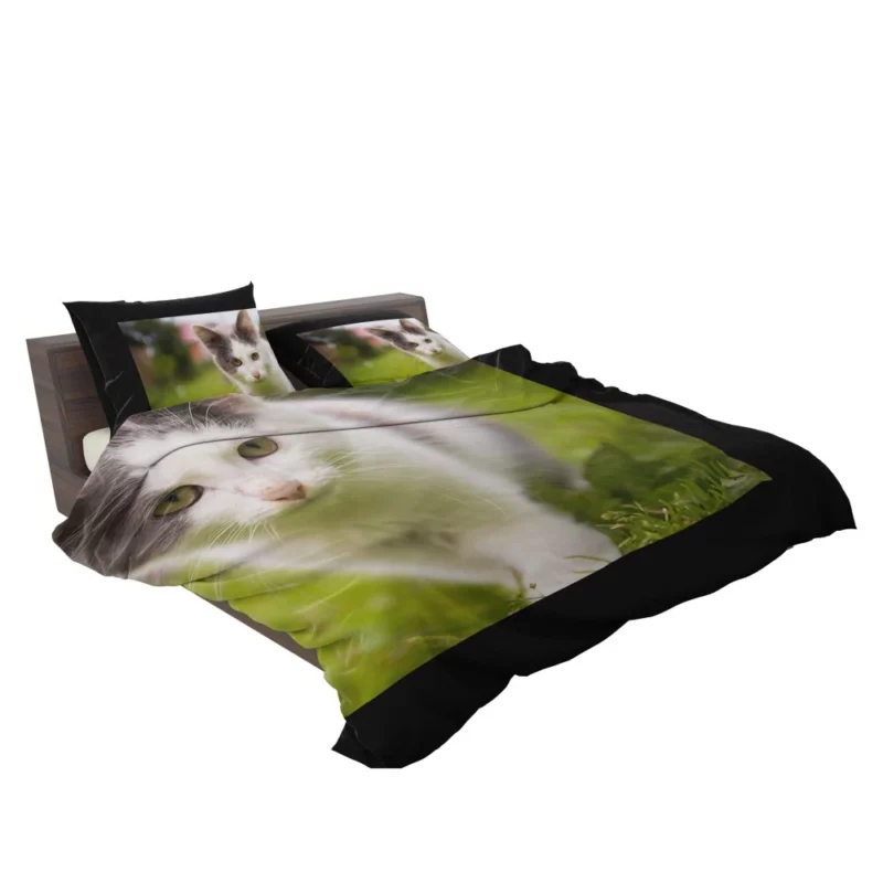 Baby Kitten Enigmatic Depth Bedding Set 2