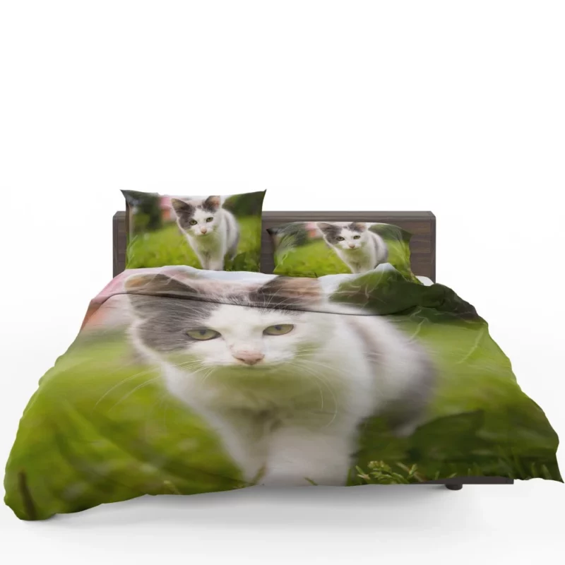 Baby Kitten Enigmatic Depth Bedding Set