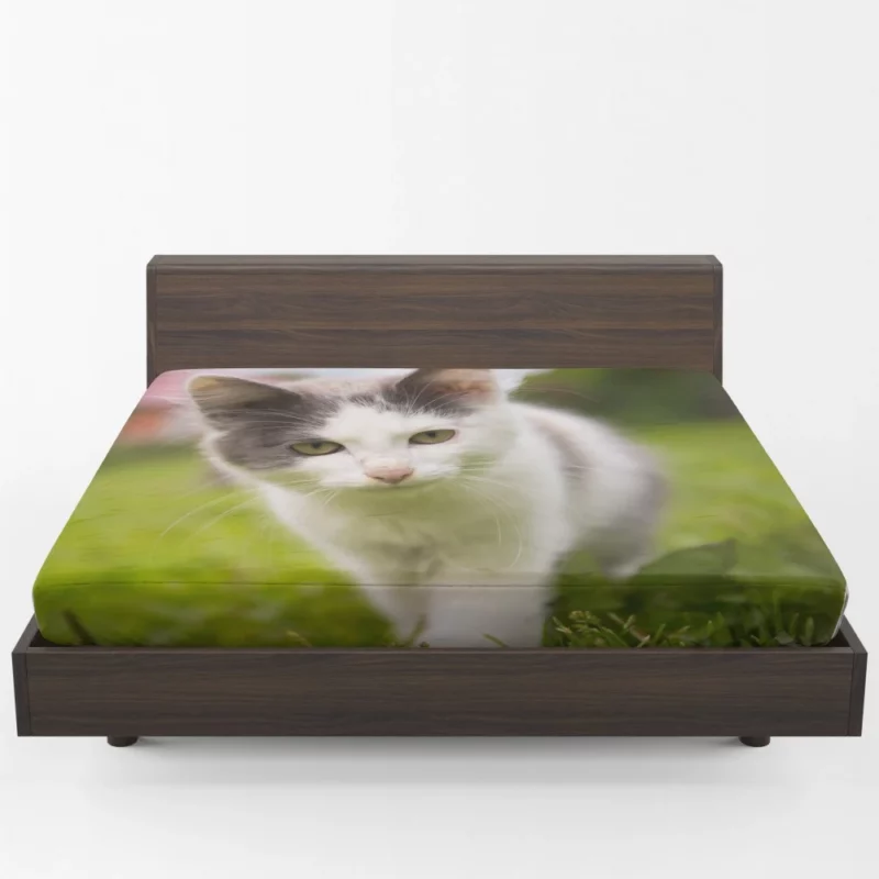 Baby Kitten Enigmatic Depth Fitted Sheet