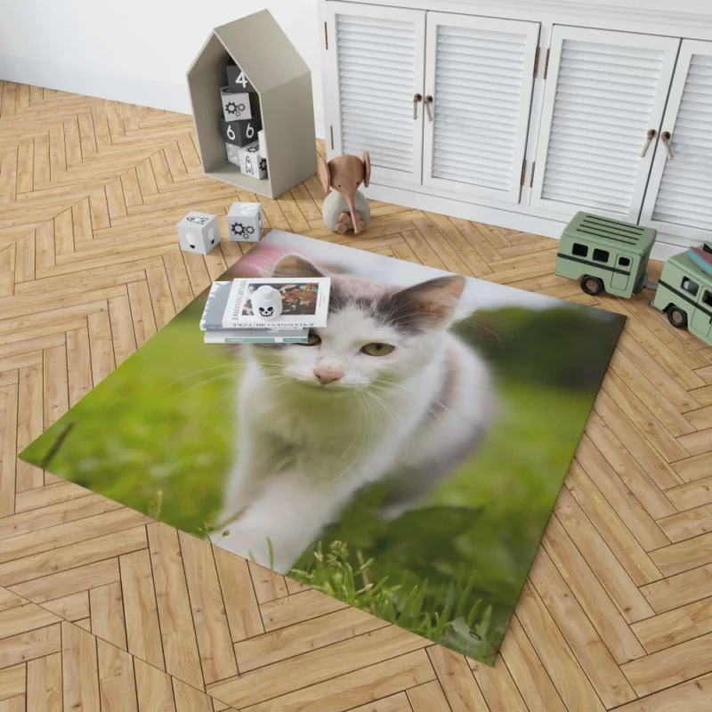 Baby Kitten Enigmatic Depth Rug 1